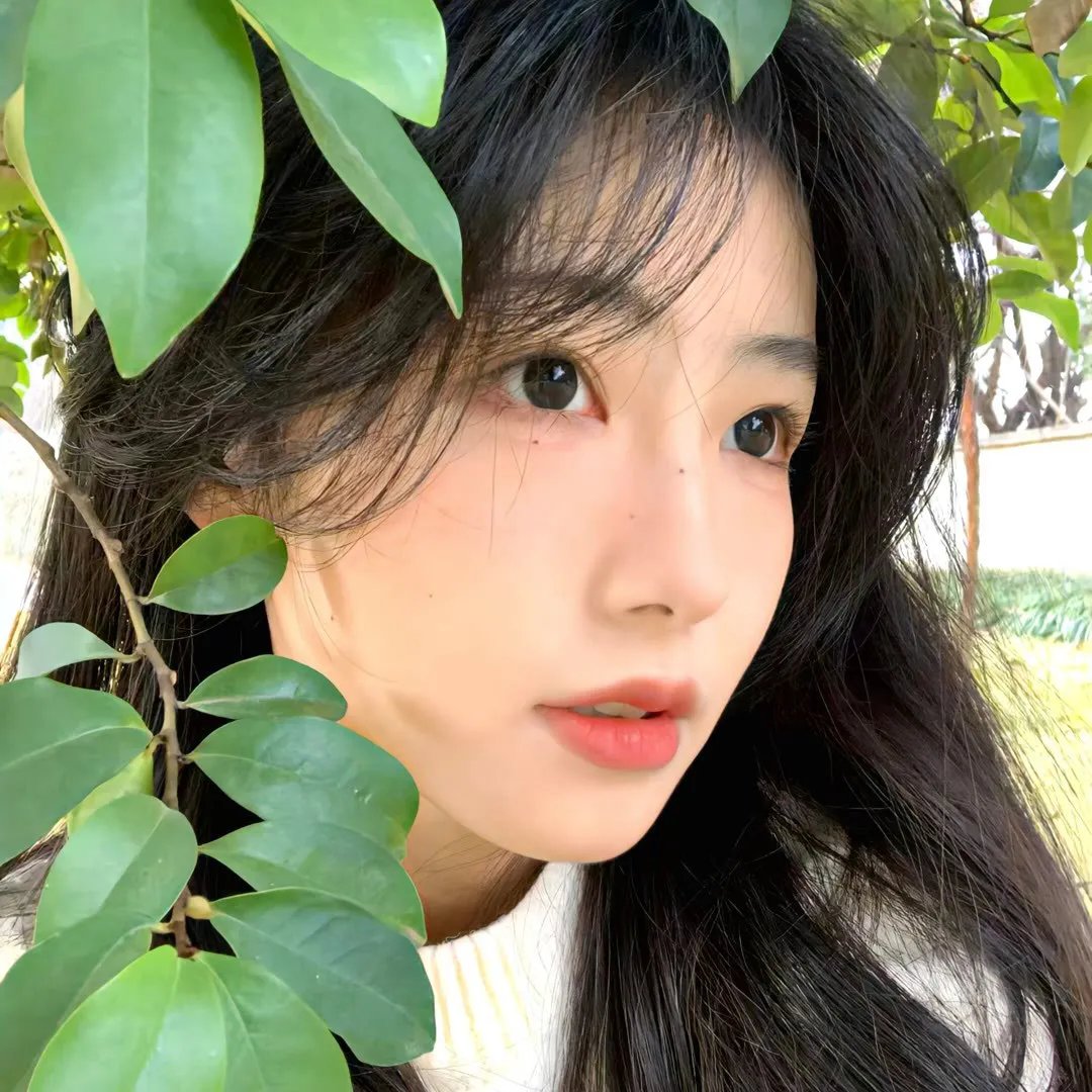 又见奈良